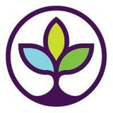 Cinderella Eco Logo