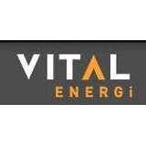 Vital Energi Logo