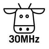 30MHz Logo