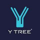 Y Tree Logo