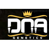 DNA Genetics Logo