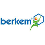 Groupe Berkem Logo