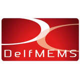 DelfMEMS Logo