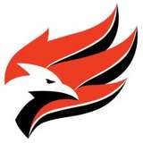 Wellman Dynamics Logo