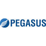 Pegasus Manufacturing Logo