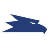 Falcon Electronics Logo