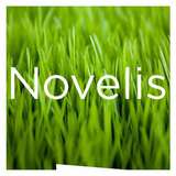Novelis Logo