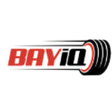 BayIQ Logo