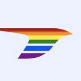 Magpie Aviation Logo