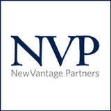 NewVantage Partners Logo