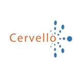 Cervello Logo