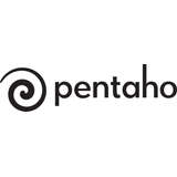 Pentaho Logo
