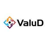 ValuD Consulting Logo
