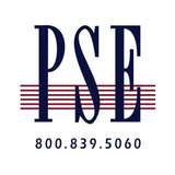 Professional Systems Engineering Logo