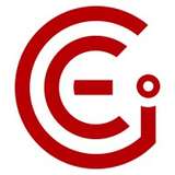 CEI Logo