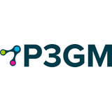 P3 Global Management Logo