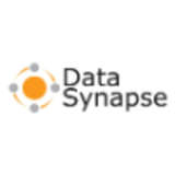 DataSynapse Logo