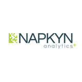 Napkyn Logo