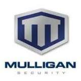 Mulligan Security Logo
