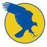 Hawk Security Logo