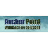 Anchor Point Group Logo