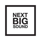 Next Big Sound Logo