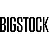 Bigstock Logo