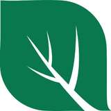 Insight Pest Solutions Logo