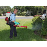 Barefoot Mosquito Logo