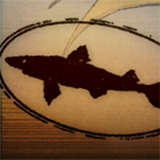 Dogfish Head Logo