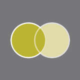 Europa Eyewear Logo