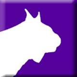 Lynx System Developers Logo