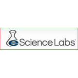 eScience Labs Logo